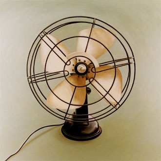 Fan, painting by Teresa Dias Coelho
